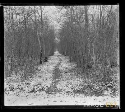 Chemin forestier (Gondreville ?)