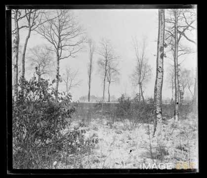 Paysage sous la neige (Gondreville ?)
