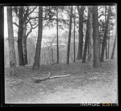 Forêt (Gondreville ?)