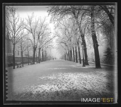 Allée du parc de la Pépinière (Nancy)
