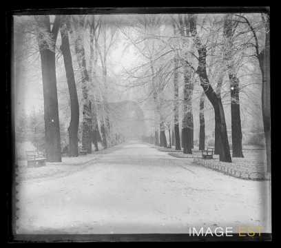 Allée du parc de la Pépinière (Nancy)