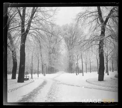 Allée du parc de la Pépinière (Nancy)