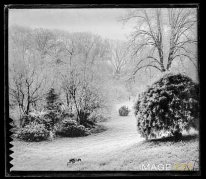 Parc de la Pépinière (Nancy)