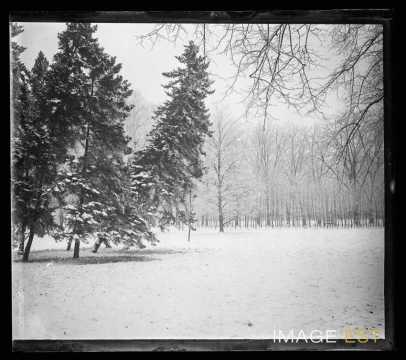 Parc de la Pépinière (Nancy)