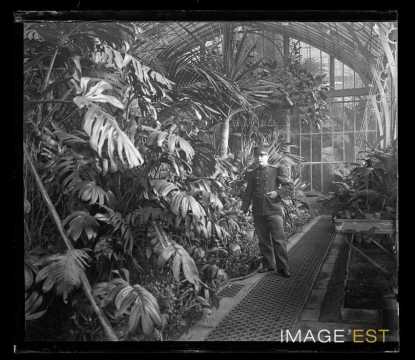 Militaire dans une serre (Nancy)