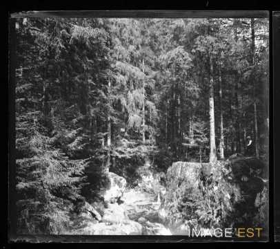 Cours d'eau en forêt (Bussang ?)