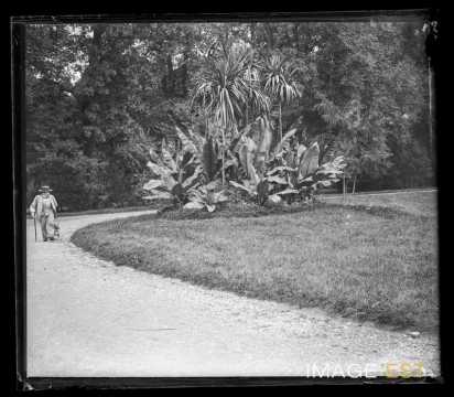 Parc de la Pépinière (Nancy)
