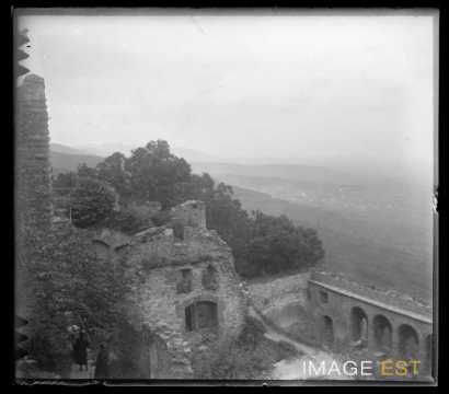 Vestiges du château de Bernstein (Dambach-la-Ville)