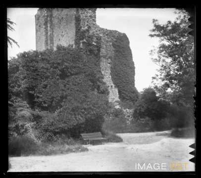 Vestiges du château (Dompfront-en-Poiraie)