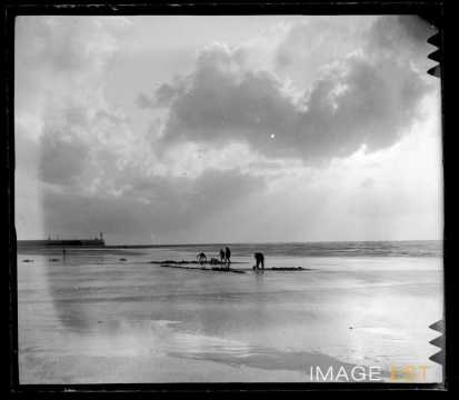 Plage (Mers-les-Bains)
