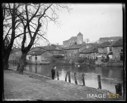 Sur les rives de l'Ornain (Gondrecourt-le-Château)