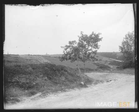 Paysage rural