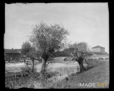 La Seille (Port-sur-Seille)