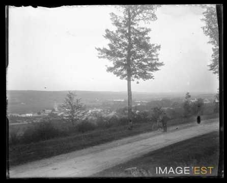 Flavigny-sur-Moselle (Meurthe-et-Moselle)