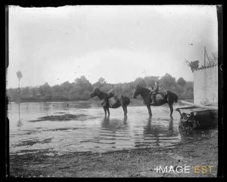 Enfants à cheval