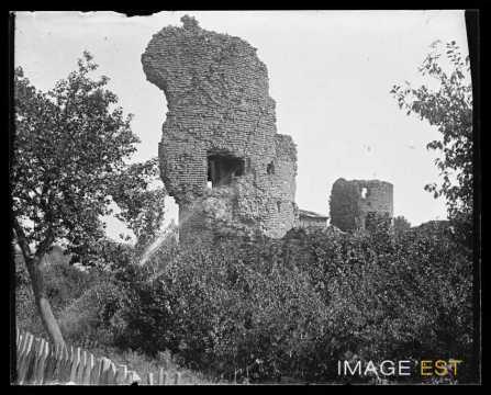Vestiges du château (Nomény)