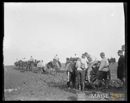 Artilleurs à l'exercice (Malzéville)