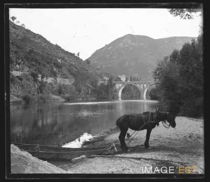 Cheval attelé à une barque (Le Rozier)