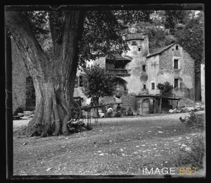 Scène de vie rurale