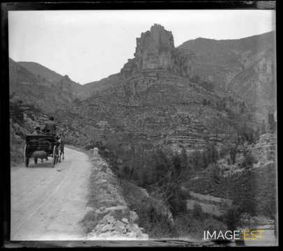 Attelage dans la vallée de la Jonte (Lozère)