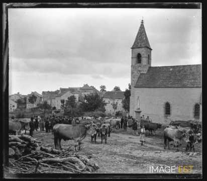 Marché aux boeufs (Saint-Sauveur-Camprieu)