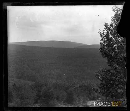Paysage forestier (Gard)