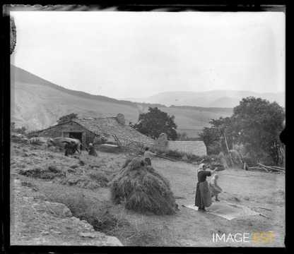 Foulage des blés (Aveyron)