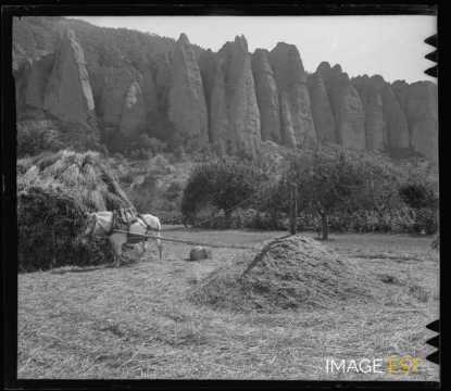 Foulage des blés (Digne-les-Bains)