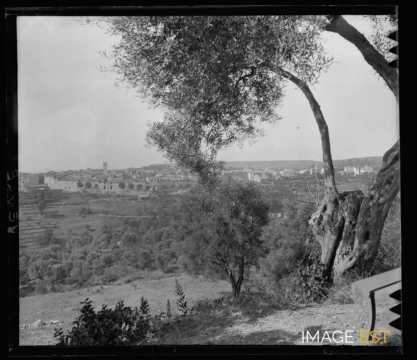 Vence (Alpes-Maritimes)