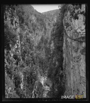 Canyon (Alpes-Maritimes)
