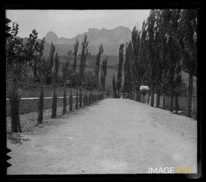 Une allée (Alpes-de-Haute-Provence)