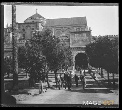 Cour des Orangers (Cordoue)