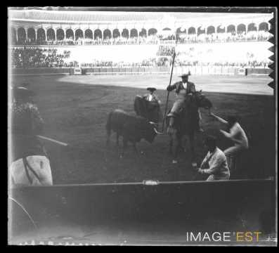 Corrida (Séville)