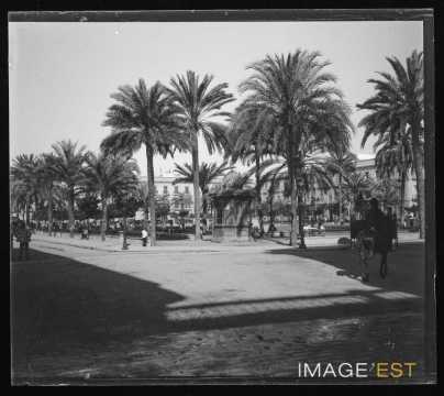 Jardin du palais de l'Alcazar (Séville)