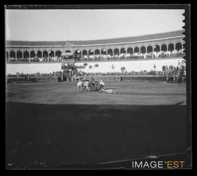 Corrida (Séville)