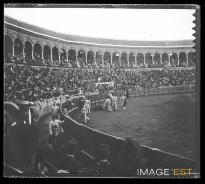 Corrida (Séville)