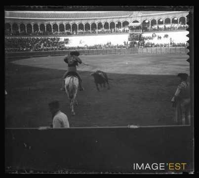 Corrida (Séville)