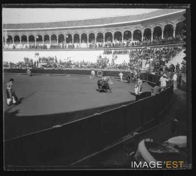 Corrida (Séville)