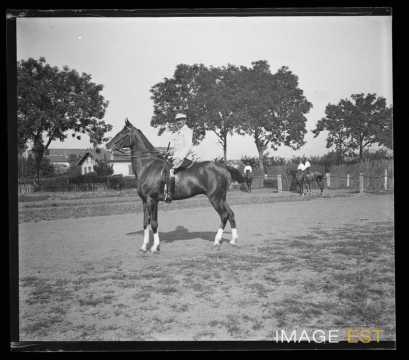 Officier à cheval (Nancy)