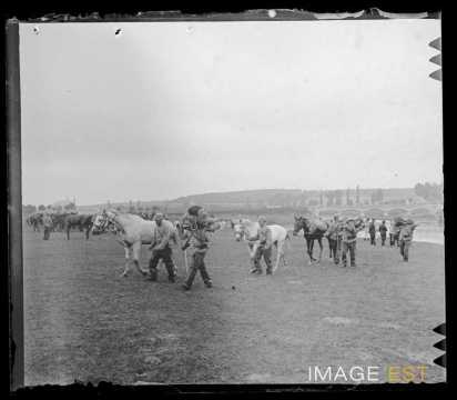 Hussards et leurs chevaux (Art-sur-Meurthe)