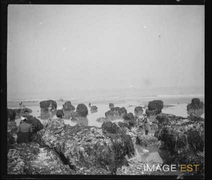 Pêche aux coquillages (Dieppe)