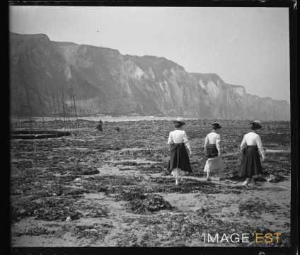 Pêche aux coquillages (Dieppe)