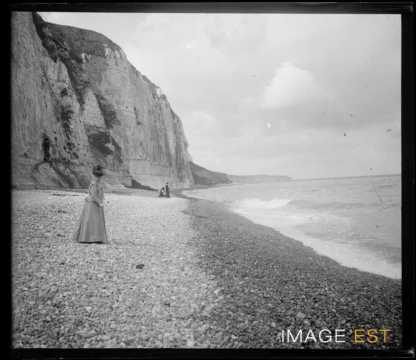 Falaises du Bas-Fort-Blanc (Dieppe)