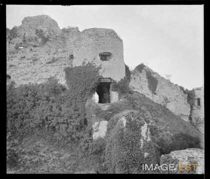 Château (Arques-la-Bataille)