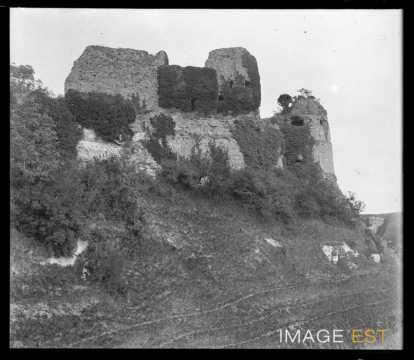 Château (Arques-la-Bataille)
