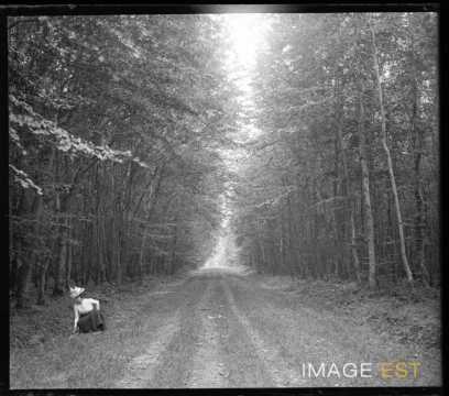 Femme dans une forêt (Varangeville-sur-Mer)
