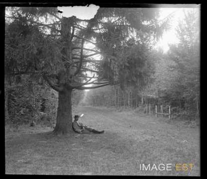 Homme dans une forêt (Varangeville-sur-Mer)