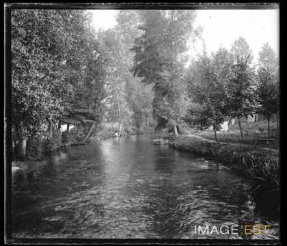 Une rivière (Varangeville-sur-Mer)