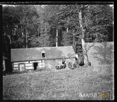 Hameau (Seine-Maritime)