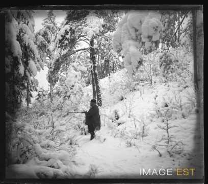 Chasseur dans une forêt